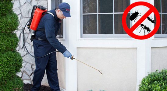 Mavişehir Kemirgen İlaçlama böcek ilaçlama ve haşere kontrolü — ilaclama-tr.com